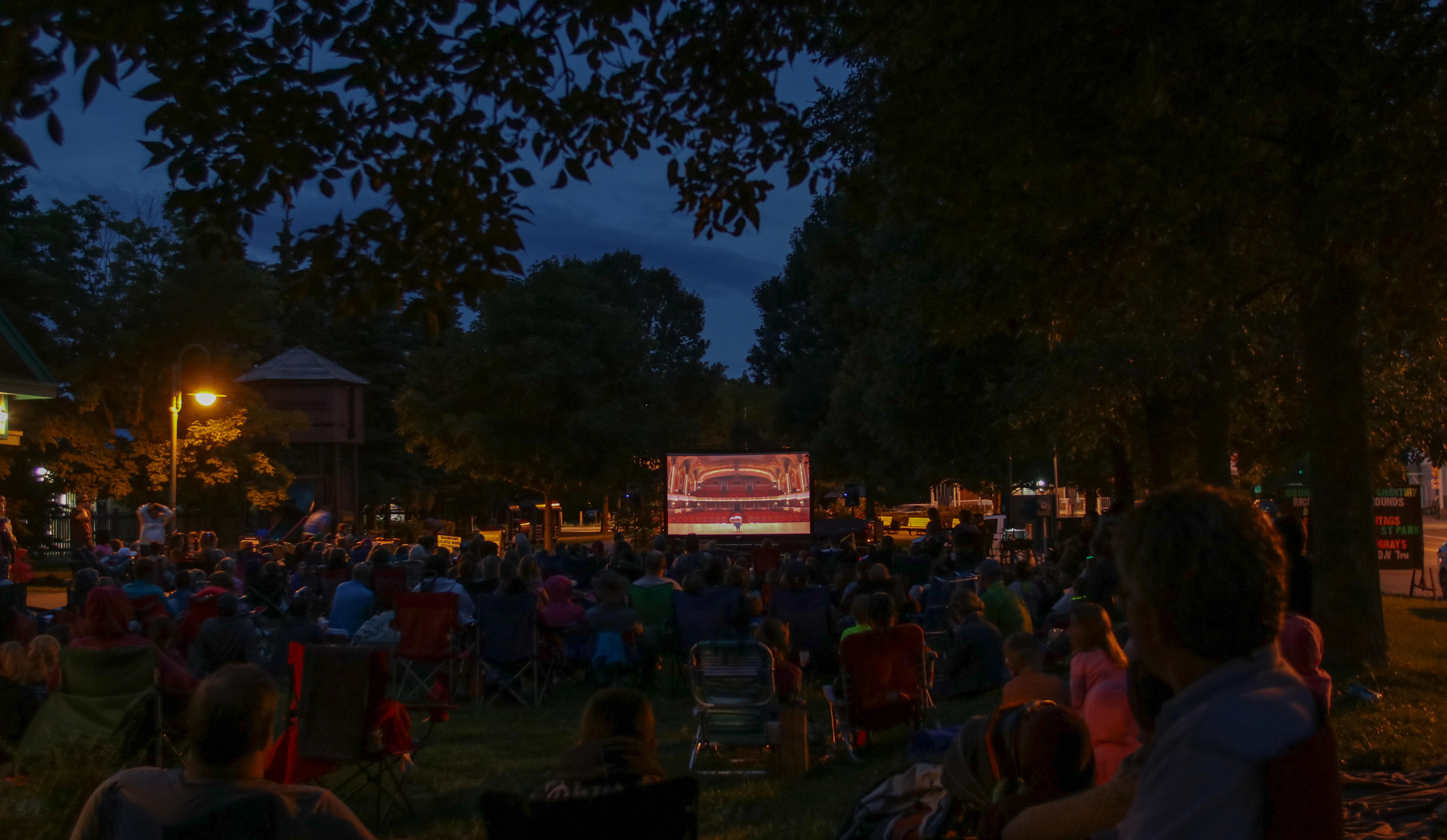 Music & Movies in the Park